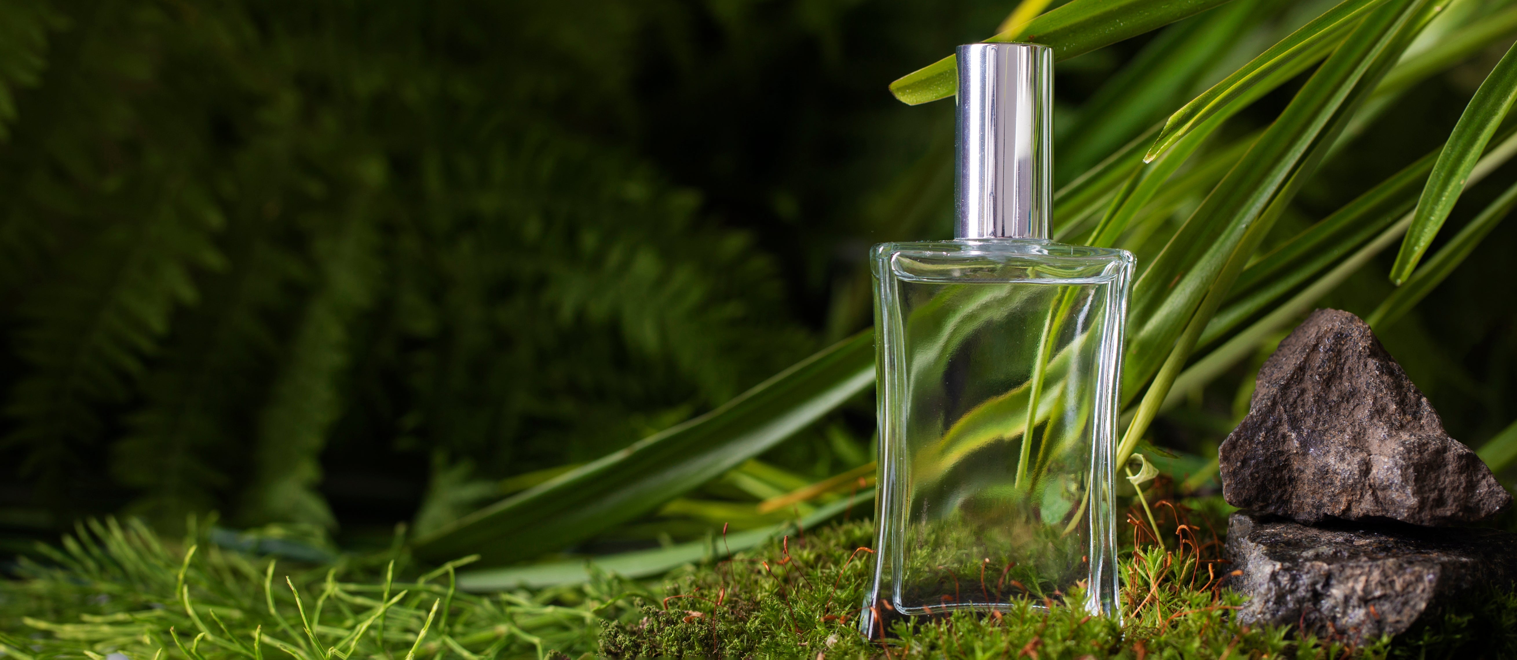 Are Natural Perfumes Really Better? The Complete Deep Comparison Guide